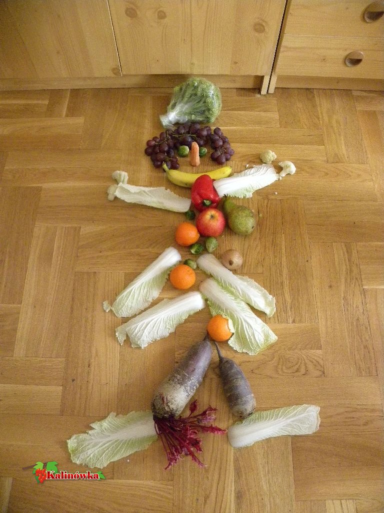  2012_03_5 porcji warzyw, owoców lub soku_12