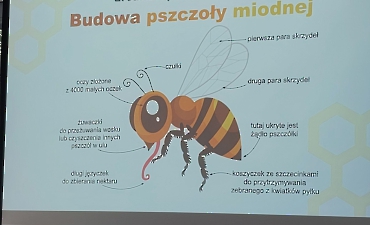 2023_06_pszczel_wola_16